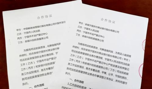 法院双十一上线拍卖贷，不动产登记中心优化服务助力不动产登记代理服务